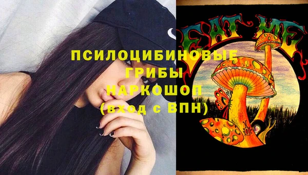 дживик Армянск