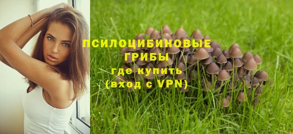 крисы Аркадак