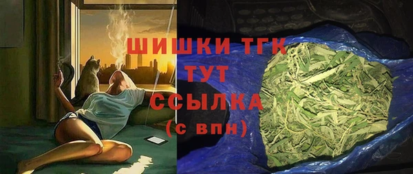 дживик Армянск
