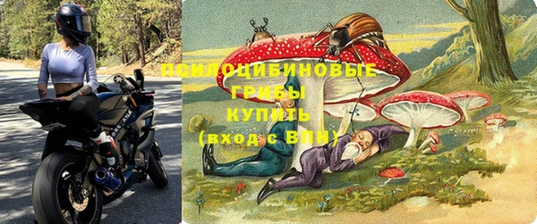 крисы Аркадак