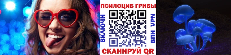 наркота  Новомосковск  Галлюциногенные грибы мицелий 